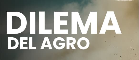 EL ATRASO CAMBIARIO: Cómo manejar el campo con costos por las nubes